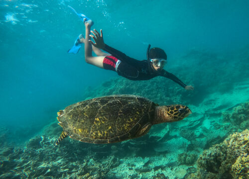 Grupa Abu Dabbab Turtle Beach
