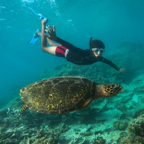 Grupa Abu Dabbab Turtle Beach