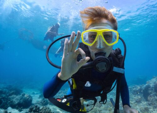 Wycieczka wprowadzająca do nurkowania i snorkelingu z lunchem i napojami