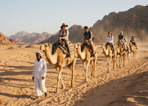 Camel Ride in the Desert