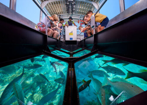 Glass Bottom Boat Tour