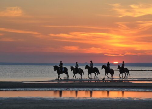 Horse Riding on the Beach